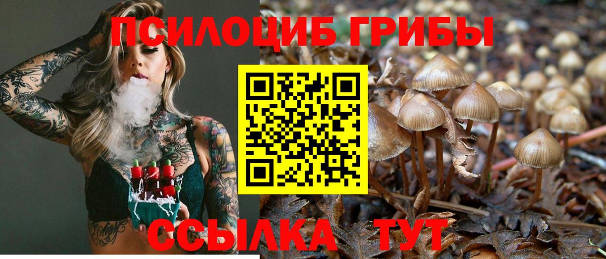 Галлюциногенные грибы мухоморы Карталы